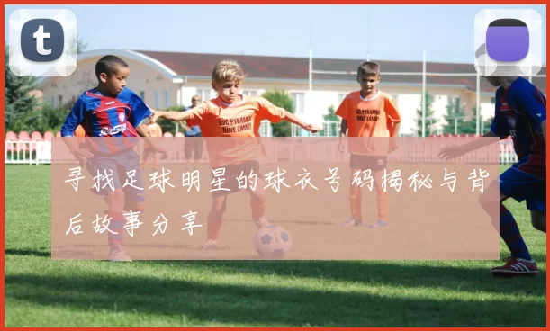 寻找足球明星的球衣号码揭秘与背后故事分享