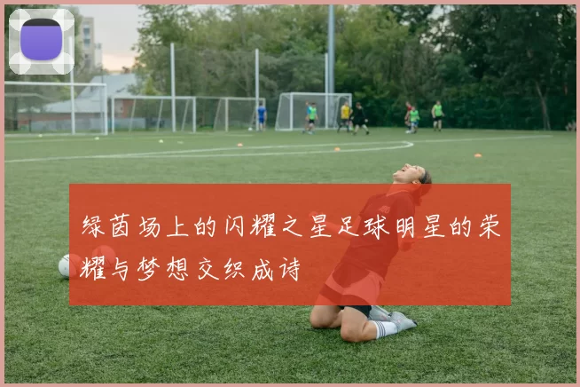 绿茵场上的闪耀之星足球明星的荣耀与梦想交织成诗