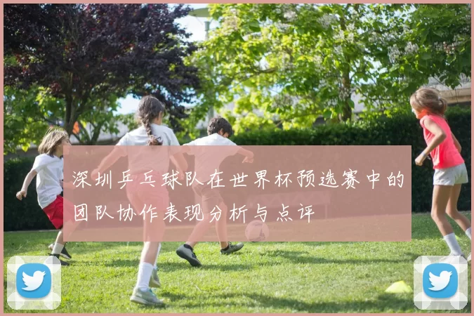 深圳乒乓球队在世界杯预选赛中的团队协作表现分析与点评