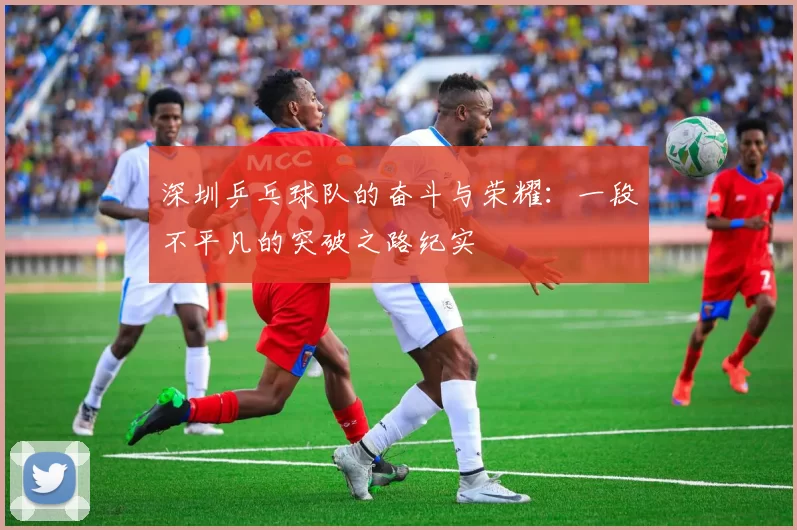 深圳乒乓球队的奋斗与荣耀：一段不平凡的突破之路纪实