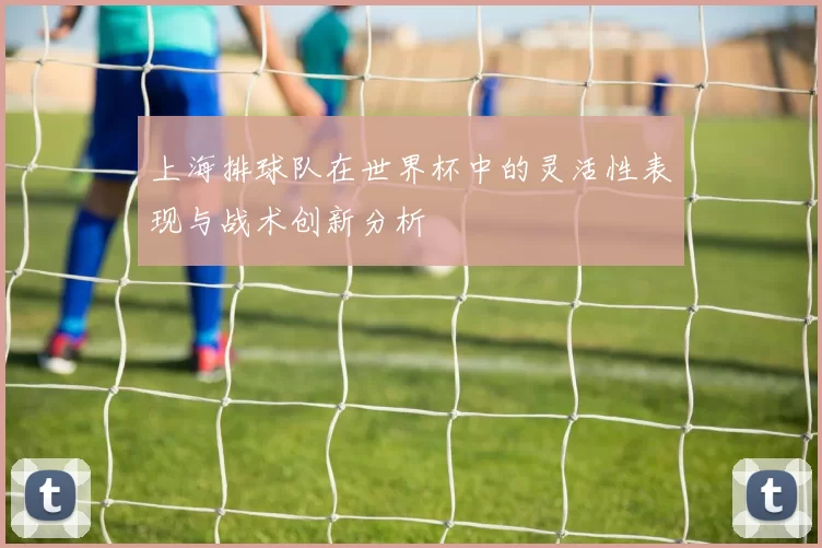 上海排球队在世界杯中的灵活性表现与战术创新分析