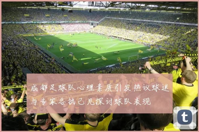 成都足球队心理素质引发热议球迷与专家各执己见探讨球队表现