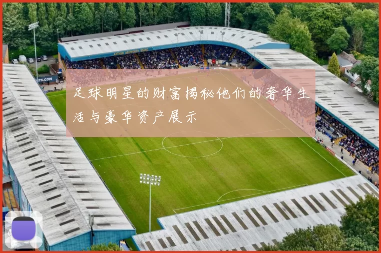 足球明星的财富揭秘他们的奢华生活与豪华资产展示