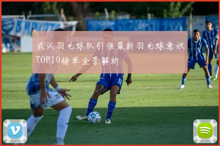 武汉羽毛球队引领最新羽毛球意识TOP10榜单全景解析