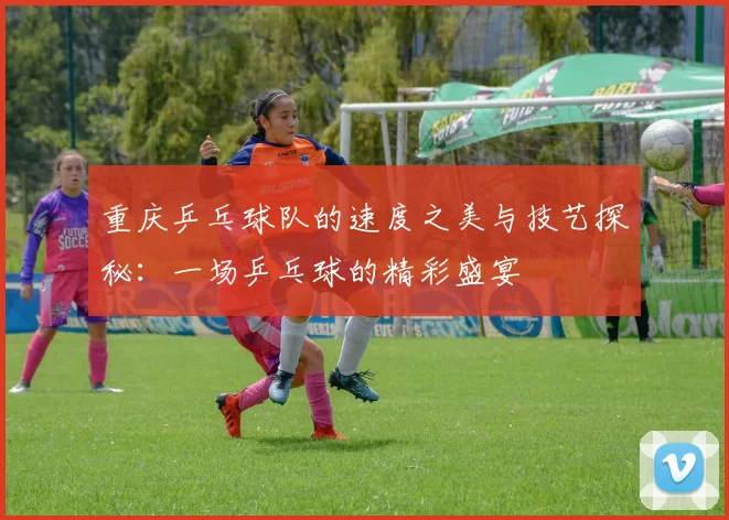 重庆乒乓球队的速度之美与技艺探秘：一场乒乓球的精彩盛宴