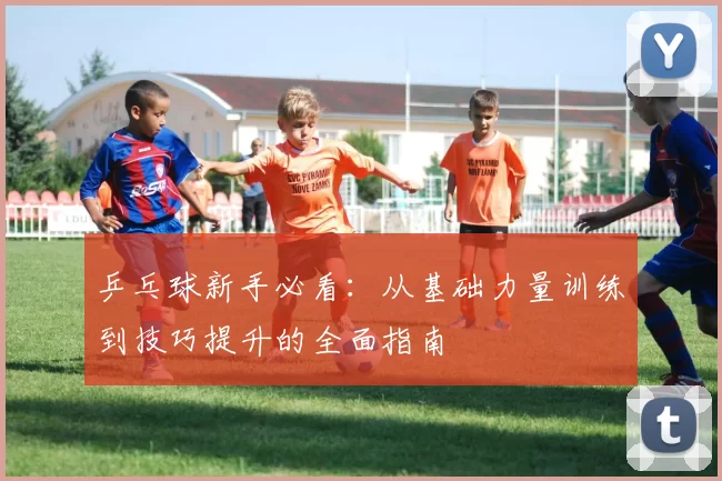 乒乓球新手必看：从基础力量训练到技巧提升的全面指南