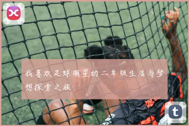 我喜欢足球明星的二年级生活与梦想探索之旅