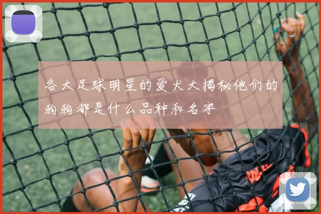 各大足球明星的爱犬大揭秘他们的狗狗都是什么品种和名字