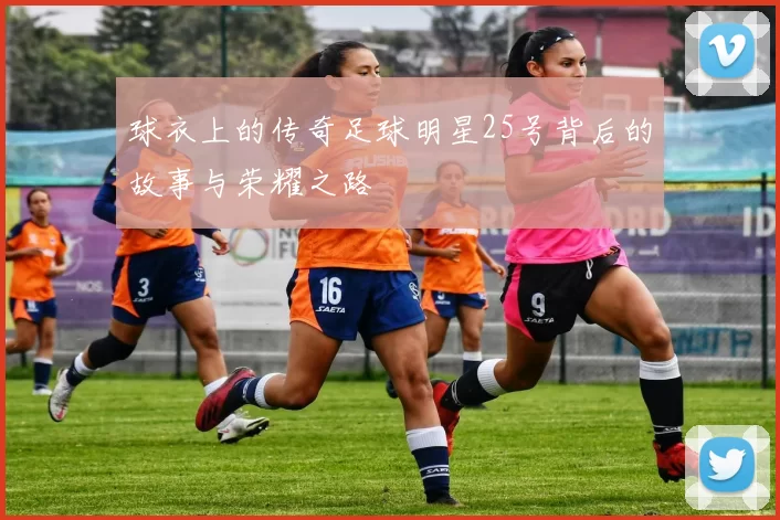球衣上的传奇足球明星25号背后的故事与荣耀之路