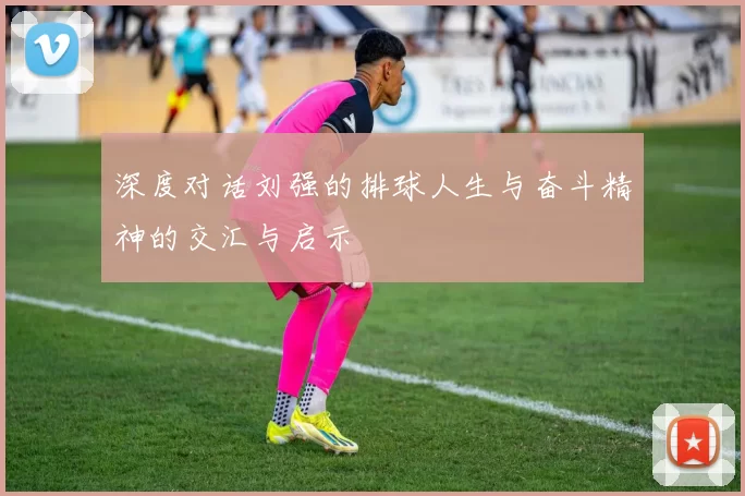 深度对话刘强的排球人生与奋斗精神的交汇与启示