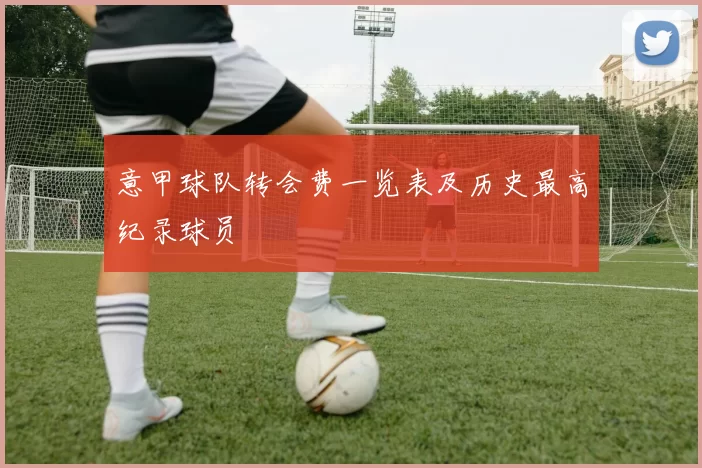 意甲球队转会费一览表及历史最高纪录球员