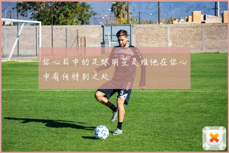 你心目中的足球明星是谁他在你心中有何特别之处