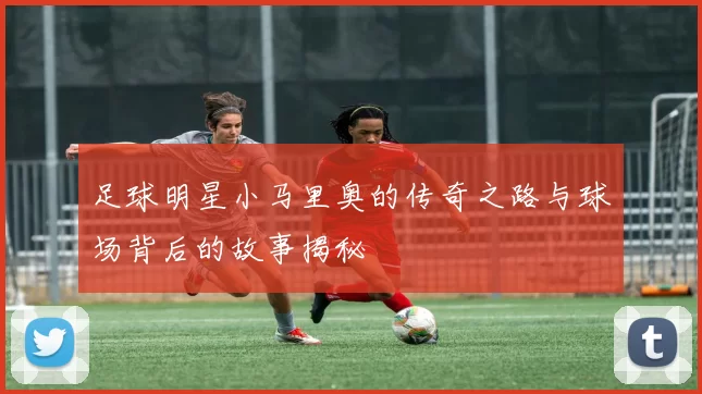 足球明星小马里奥的传奇之路与球场背后的故事揭秘
