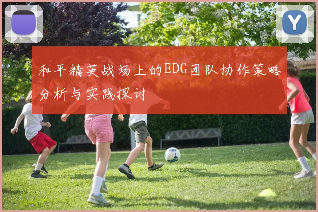 和平精英战场上的EDG团队协作策略分析与实践探讨