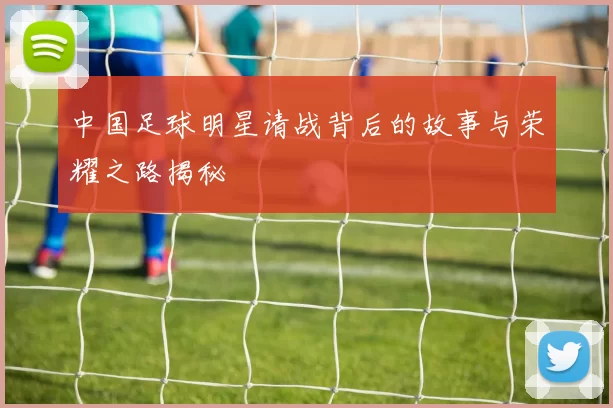 中国足球明星请战背后的故事与荣耀之路揭秘