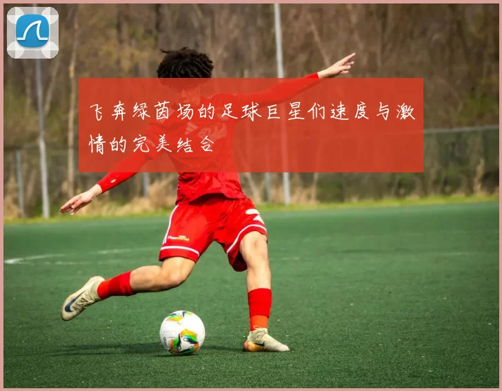 飞奔绿茵场的足球巨星们速度与激情的完美结合