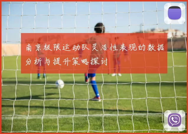 南京极限运动队灵活性表现的数据分析与提升策略探讨
