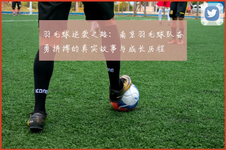 羽毛球逆袭之路：南京羽毛球队奋勇拼搏的真实故事与成长历程