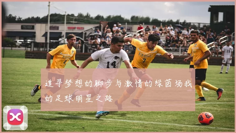 追寻梦想的脚步与激情的绿茵场我的足球明星之路