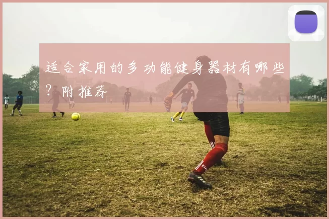 适合家用的多功能健身器材有哪些？附推荐