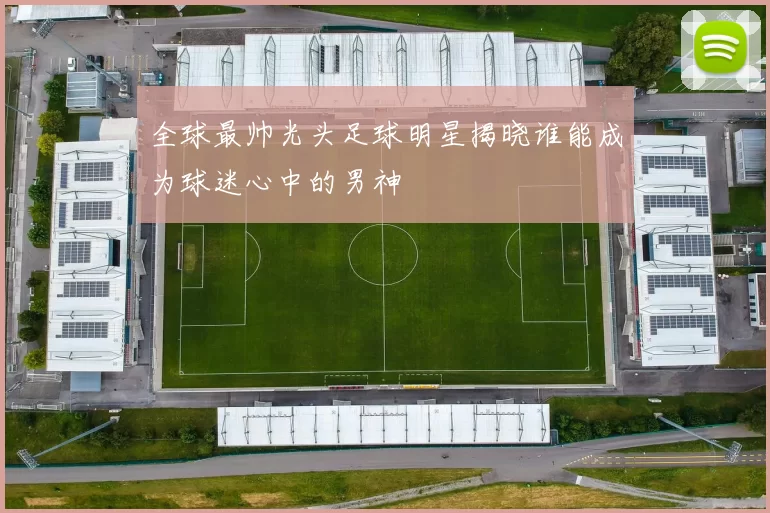 全球最帅光头足球明星揭晓谁能成为球迷心中的男神