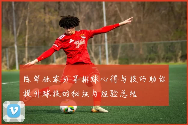 陈军独家分享排球心得与技巧助你提升球技的秘诀与经验总结