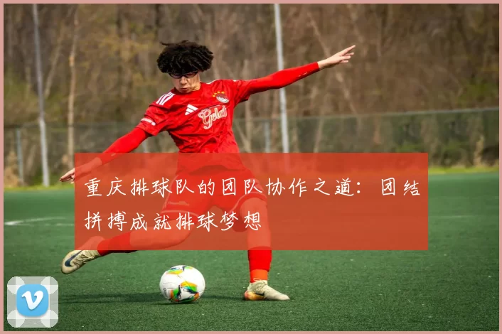 重庆排球队的团队协作之道：团结拼搏成就排球梦想