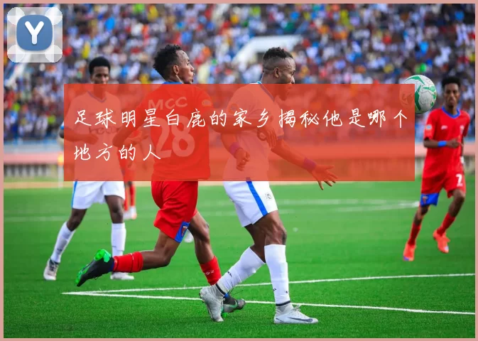 足球明星白鹿的家乡揭秘他是哪个地方的人