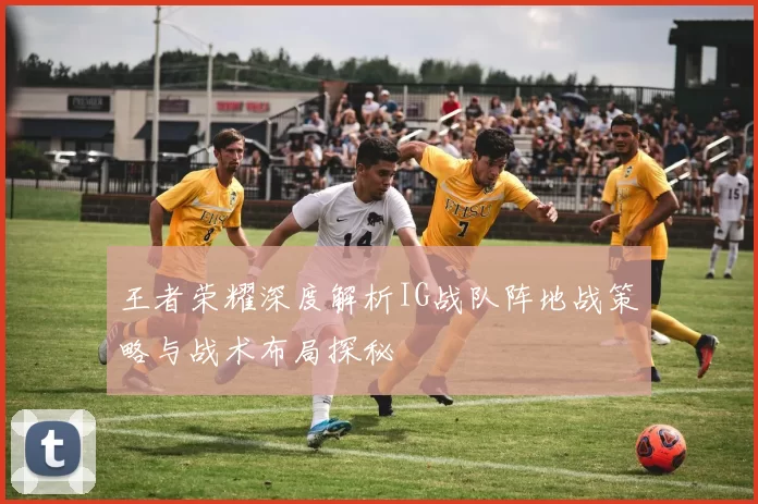 王者荣耀深度解析IG战队阵地战策略与战术布局探秘