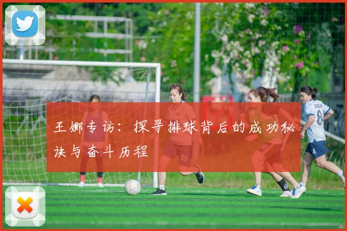 王娜专访：探寻排球背后的成功秘诀与奋斗历程