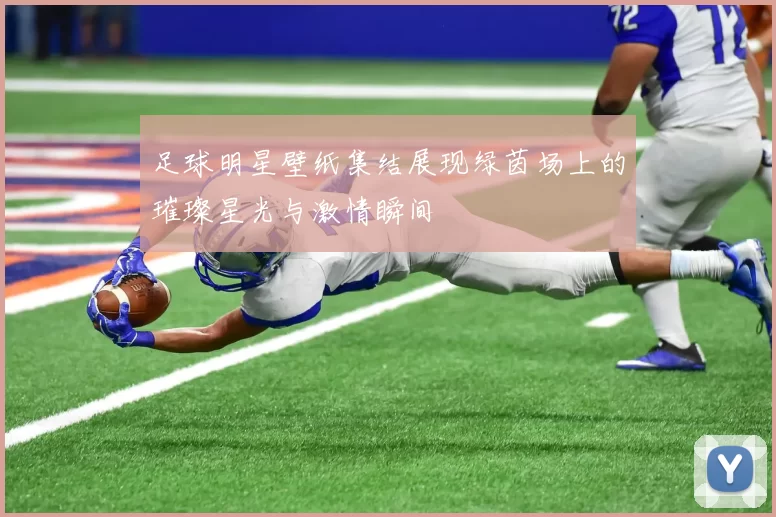 足球明星壁纸集结展现绿茵场上的璀璨星光与激情瞬间