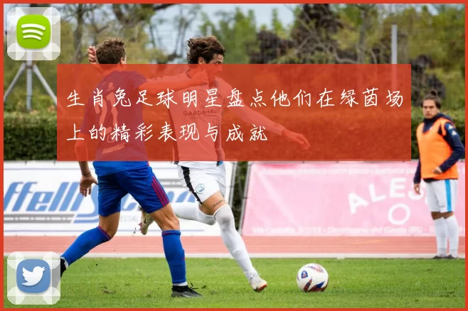 生肖兔足球明星盘点他们在绿茵场上的精彩表现与成就