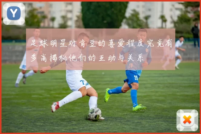 足球明星对肯豆的喜爱程度究竟有多高揭秘他们的互动与关系